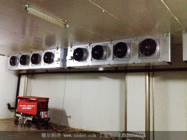 1542792055103317.jpg xuerong003.JPG