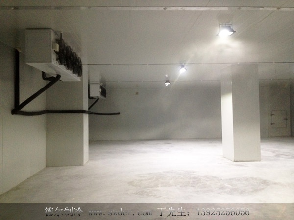 1542765488901449.jpg zhenghai17.jpg